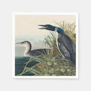 Audubon Bird Loon Diver Classic Servet