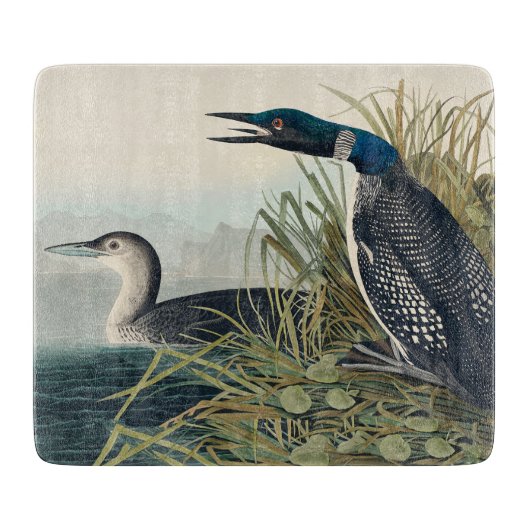 Audubon Bird Loon Diver Classic Snijplank (Voorkant)