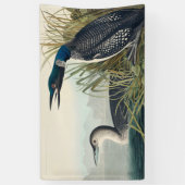 Audubon Bird Loon Diver Classic Spandoek (Verticaal)