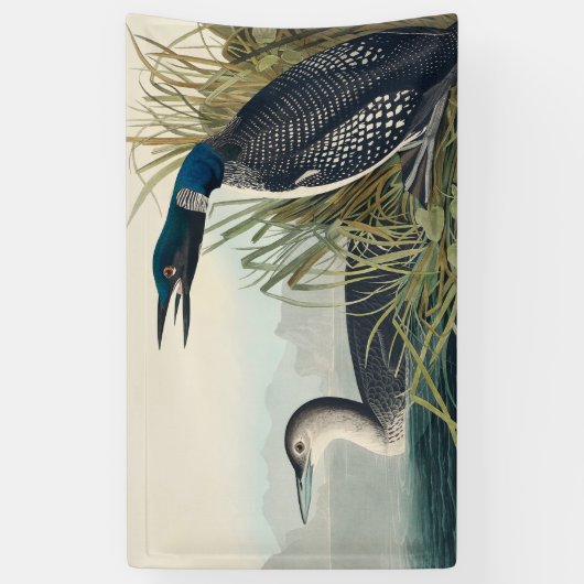 Audubon Bird Loon Diver Classic Spandoek (Verticaal)