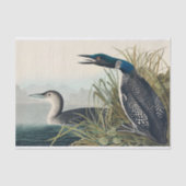 Audubon Bird Loon Diver Classic Tissuepapier (Voorkant)