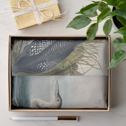 Audubon Bird Loon Diver Classic Tissuepapier (Geschenk)