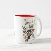 Audubon Bird Mok, Downy Woodpecker, 15 oz. Tweekleurige Koffiemok (Voorkant rechts)
