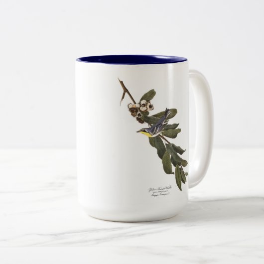 Audubon Bird Mok, Geel-Throated Warbler, 15 oz. Tweekleurige Koffiemok (Voorkant rechts)