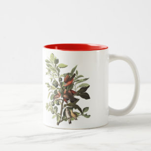 Audubon Bird Mok, Ground Dove, 15 oz. Twee-tinten Tweekleurige Koffiemok