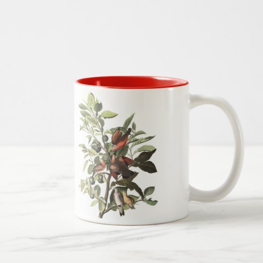 Audubon Bird Mok, Ground Dove, 15 oz. Twee-tinten Tweekleurige Koffiemok (Rechts)