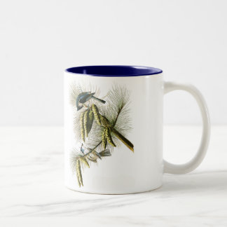 Audubon Bird Mok, Tufted Titmouse, 15 oz. Tweekleurige Koffiemok