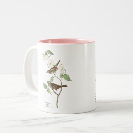 Audubon Bird Mok, White-Throated Sparrow, 15 oz. Tweekleurige Koffiemok (Voorkant links)