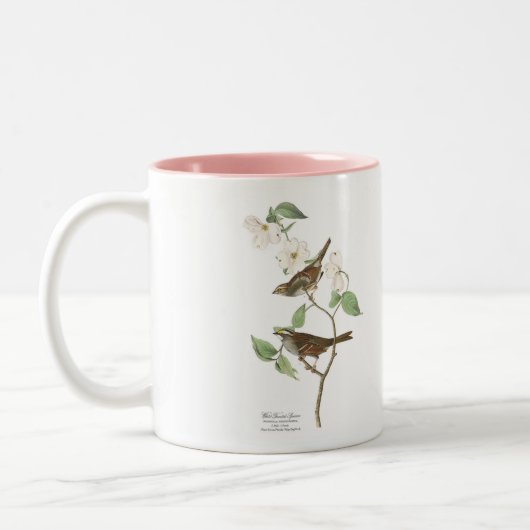 Audubon Bird Mok, White-Throated Sparrow, 15 oz. Tweekleurige Koffiemok (Links)