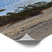 Audubon Bird Refuge Beach, Dauphin Island, Alabama Poster (Hoek)