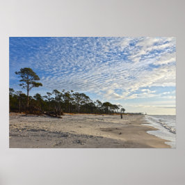 Audubon Bird Refuge Beach, Dauphin Island, Alabama Poster