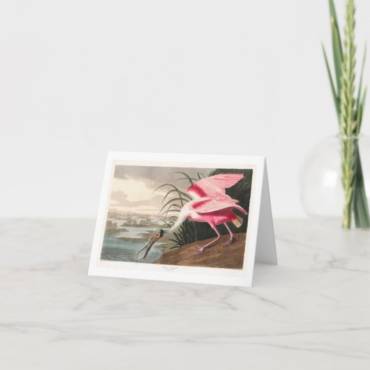 Audubon Birds of America Bedankkaart (Voorkant)