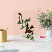 Audubon Birds - Olijfzijdige Flycatcher Acryl Bord (Huwelijk)