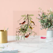 Audubon Birds - Orchard Oriole - Honingsprinkhaan Acryl Bord (Huwelijk)