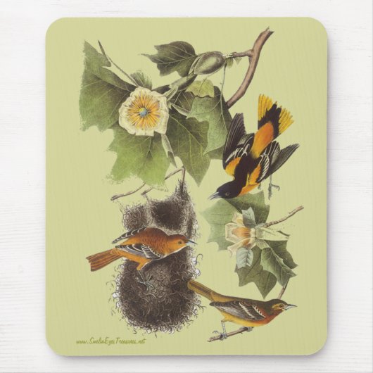 Audubon Birds Troupial Orioles Mousepad Muismat (Voorkant)