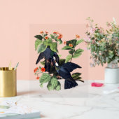 Audubon Birds - Witte gekroonde duiven Acryl Bord (Huwelijk)