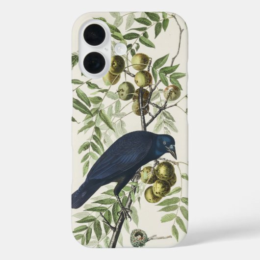 Audubon Black Crow Amerikaanse vogel illustratie Case-Mate iPhone Case (Achterkant)