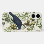 Audubon Black Crow Amerikaanse vogel illustratie Case-Mate iPhone Case (Achterkant (horizontaal))