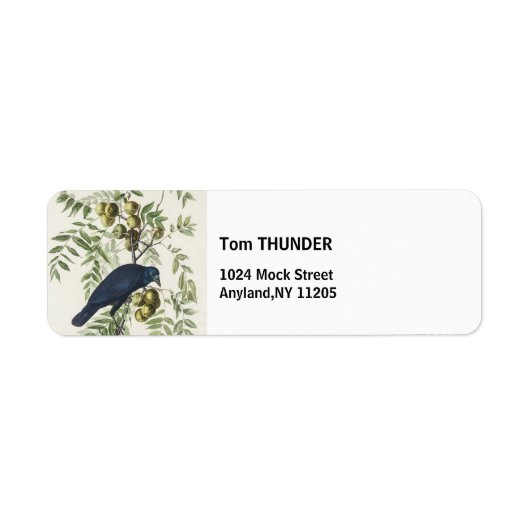 Audubon Black Crow Amerikaanse vogel illustratie Etiket (Voorkant)