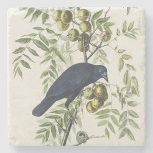 Audubon Black Crow Amerikaanse vogel illustratie Stenen Onderzetter