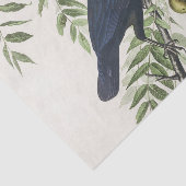 Audubon Black Crow Amerikaanse vogel illustratie Tissuepapier (Detail)