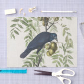 Audubon Black Crow Amerikaanse vogel illustratie Tissuepapier (Craft)