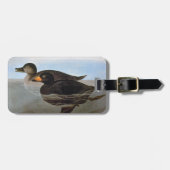 Audubon: Black Scoter Bagagelabel (Voorkant horizontaal)