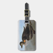 Audubon: Black Scoter Bagagelabel (Voorkant verticaal)