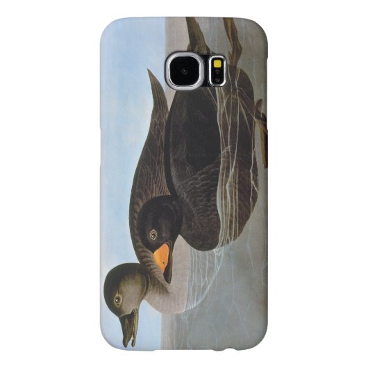 Audubon: Black Scoter Case-Mate Samsung Galaxy Hoesje (Achterkant)