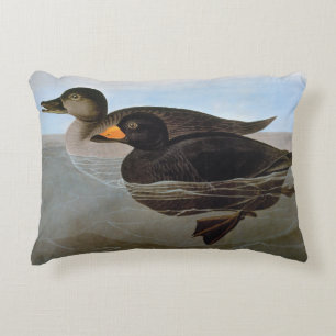 Audubon: Black Scoter Decoratief Kussen