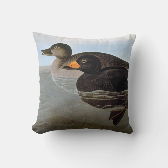 Audubon: Black Scoter Kussen (Voorkant)