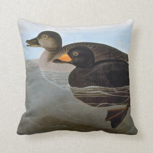 Audubon: Black Scoter Kussen
