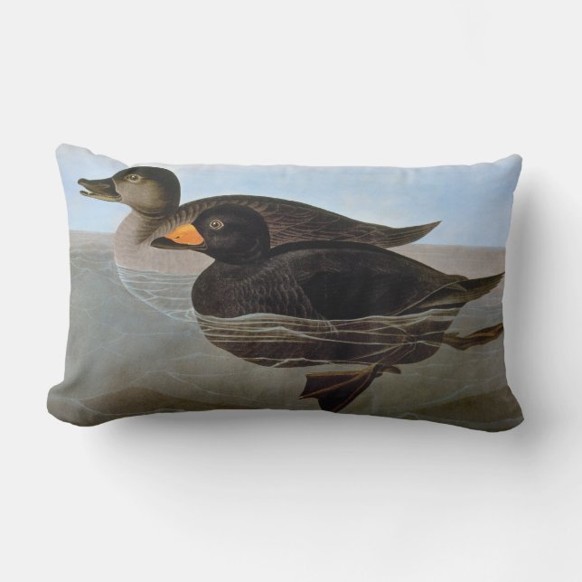 Audubon: Black Scoter Kussen (Voorkant)