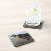 Audubon: Black Scoter Onderzetter (Rechterzijde)