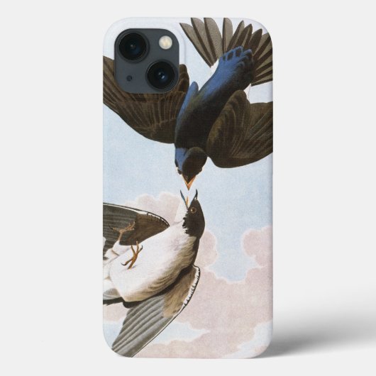 Audubon: Blauwval Case-Mate iPhone Case (Achterkant)