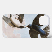 Audubon: Blauwval Case-Mate iPhone Case (Achterkant (horizontaal))