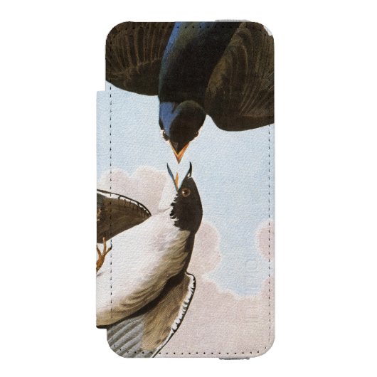 Audubon: Blauwval Incipio iPhone Portemonnee Hoesje (Voorkant Agenda)