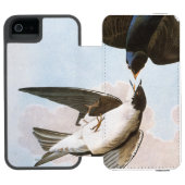 Audubon: Blauwval Incipio iPhone Portemonnee Hoesje (Agenda Open)