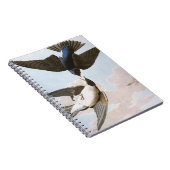 Audubon: Blauwval Notitieboek (Rechterzijde)