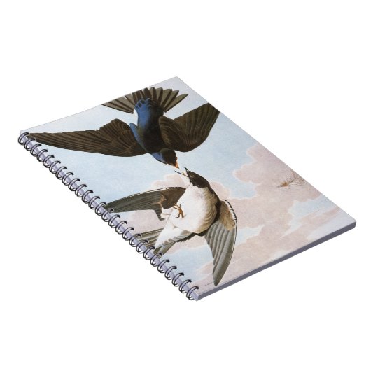 Audubon: Blauwval Notitieboek (Rechterzijde)