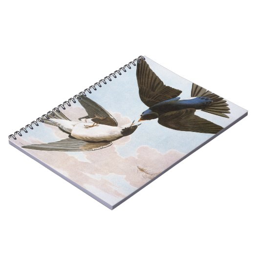 Audubon: Blauwval Notitieboek (Linkerzijde)