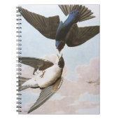 Audubon: Blauwval Notitieboek (Voorkant)
