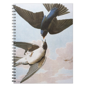 Audubon: Blauwval Notitieboek