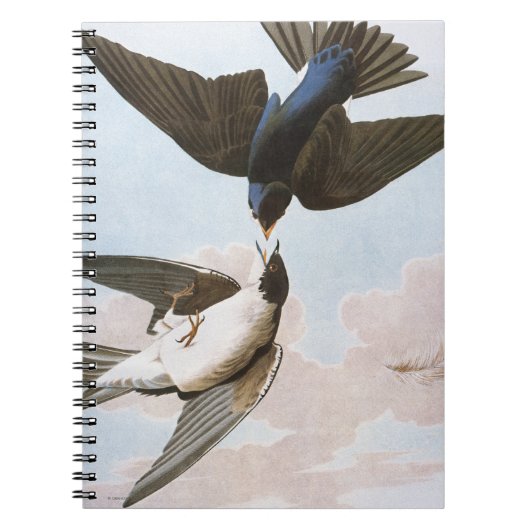 Audubon: Blauwval Notitieboek (Voorkant)