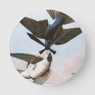 Audubon: Blauwval Ronde Klok