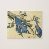 Audubon Blue Jay Bird Painting Gift Legpuzzel (Horizontaal)