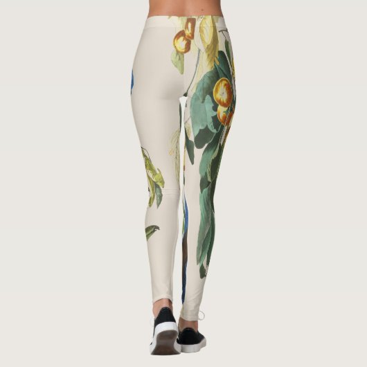 Audubon Blue Jay Birds over Print Leggings (Achterkant)