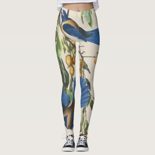 Audubon Blue Jay Birds over Print Leggings (Voorkant)