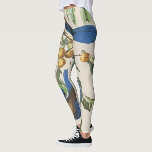 Audubon Blue Jay Birds over Print Leggings (Links)