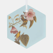 Audubon Blue Winged Yellow Warbler Bird Glas Ornament (Achterkant)